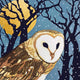 Moonlit Bird Christmas Card Box