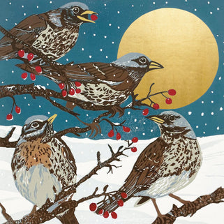 Moonlit Bird Christmas Card Box