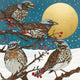 Moonlit Bird Christmas Card Box
