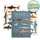 Sharks Tattoos