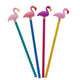Set of 4 Flamingo Erasers
