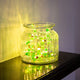 Holly LED String Lights