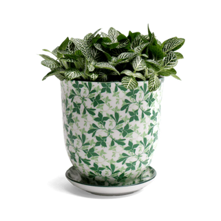 Green Leaves Plant Pot