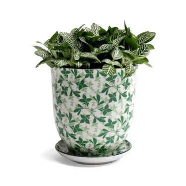 Green Leaves Plant Pot