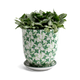 Green Leaves Plant Pot