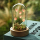 A miniature glass cloche dome containing tiny pink flowers and green moss, displayed on top of a teal book in an outdoor setting with a blurred background.