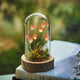 A small glass dome terrarium with glowing pink tulips and green moss sits on a round wooden base, displayed on top of a book outdoors with a blurred garden background.