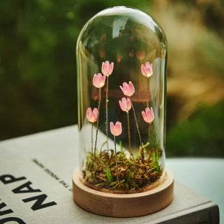 A small glass dome cloche with pink flowers and green stems sits on a round wooden base, placed on top of stacked books with a blurred outdoor garden background.