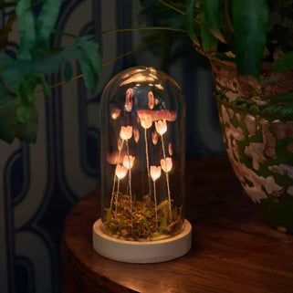 A decorative glass cloche dome lamp containing glowing pink mushrooms on a white base, placed on a wooden table next to a potted green plant in a dimly lit interior.