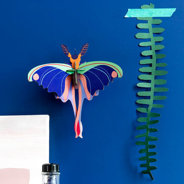 Blue Comet Butterfly Wall Decoration