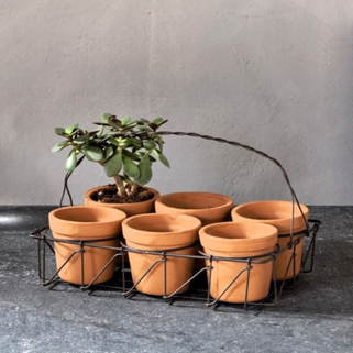 Dilipa Set of 6 Terracotta Planters