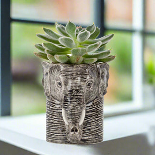 Ceramic pot shaped like an elephant head with a succulent plant on a white background