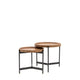 Dakota Nest Of 2 Tables 1