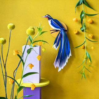 Paradise Bird Flores