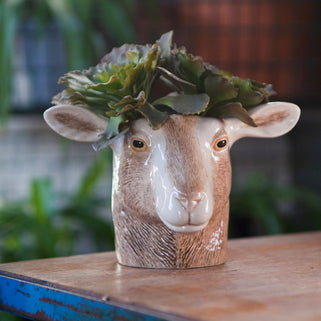 Goat Pen Pot