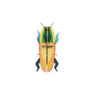 Madagascar Beetle Wall Decoration