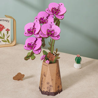 Purple Moth Orchid DIY Kit