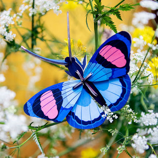 Peacock Butterfly Cardboard Wall Decoration