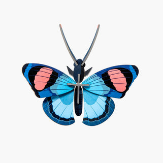 Peacock Butterfly Wall Decoration