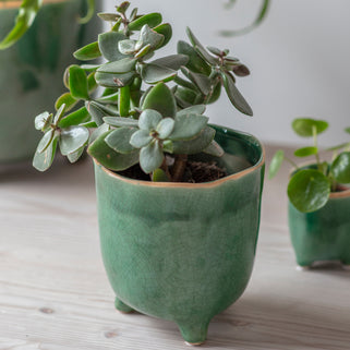 Positano Forest Green Plant Pot - Small