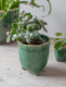Positano Forest Green Plant Pot - Small