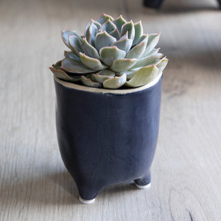 Positano Ink Plant Pot - Small