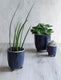 Positano Ink Plant Pot Small