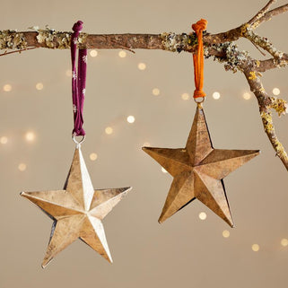 Two star-shaped ornaments hanging from a branch with a soft, blurred light background.