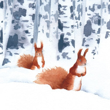 Squirrels In Snow Christmas Card Pack