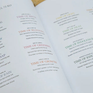 Still Art Of Noticing Book