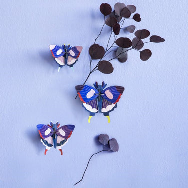 Swallowtail Butterflies Set of 3 Wall Decorations