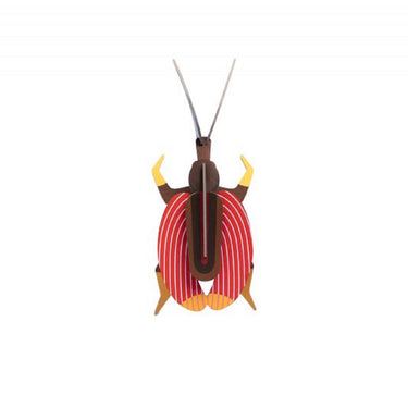 Violin Beetle Wall Decoration