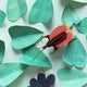 Violin Beetle Wall Decoration