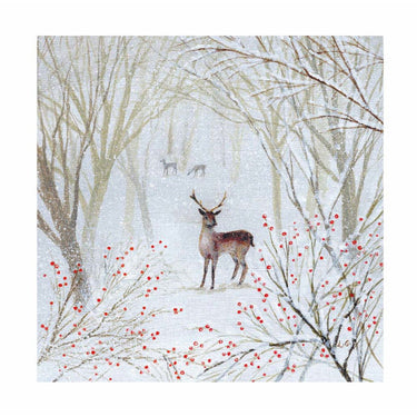 Winter Walks Christmas Card Box