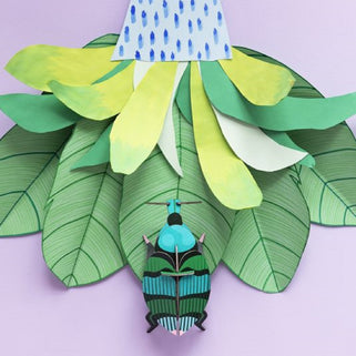 Weevil Beetle Wall Decoration