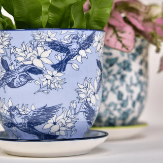 blue ceramic plant pot with blue swallows shown in close up shot