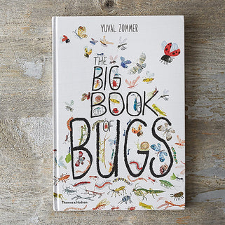 Big Book Of Bugs