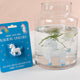 Grow Your Own Unicorn Kit