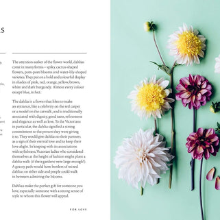 Healing Power of Flowers Book