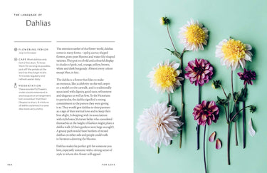 Healing Power of Flowers Book