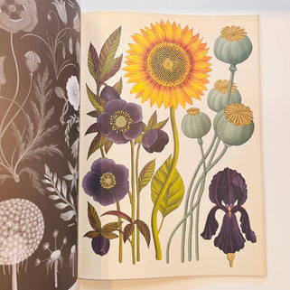 Botanicum Poster Book