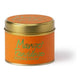 Mango Fandango Tin Candle