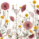 Notecards Hedgerows Design