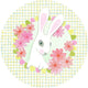 Sweet Rabbit Design Children's Storage and Music Box