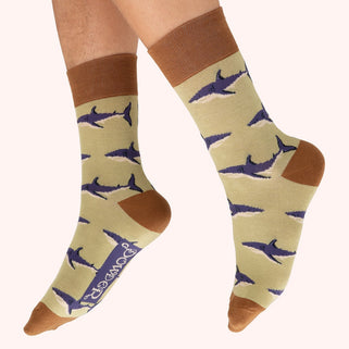 Beige socks with shark pattern and brown accents worn by a person on a white background