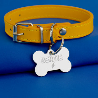 Personalised Silver Dog Tag