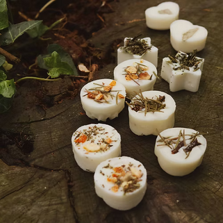 Box of 10 Wax Melts