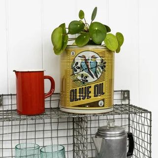 Set of 2 XL Olive Oil Storage Tins