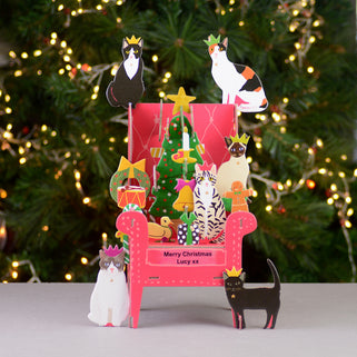 Personalised Cat Advent Calendar