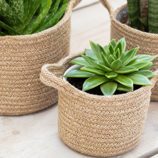 Natural Jute Woven Plant Pots Set of Three